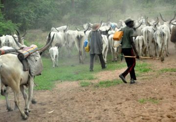 Fulani-herdsmen-360x250.jpg